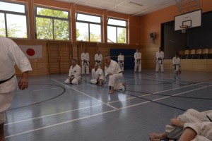 2015_06 Karatelehrgang Dörfles-Esbach 079