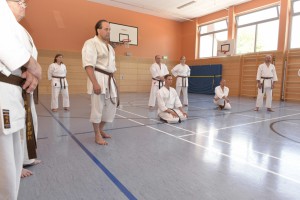 2015_06 Karatelehrgang Dörfles-Esbach 081