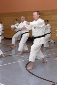 2015_06 Karatelehrgang Dörfles-Esbach 082