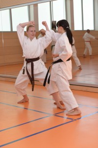 2015_06 Karatelehrgang Dörfles-Esbach 086