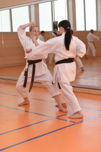 2015_06 Karatelehrgang Dörfles-Esbach 087