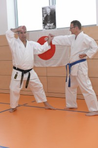 2015_06 Karatelehrgang Dörfles-Esbach 089
