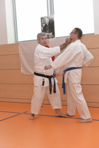 2015_06 Karatelehrgang Dörfles-Esbach 090