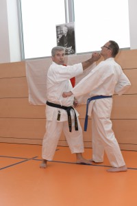 2015_06 Karatelehrgang Dörfles-Esbach 091