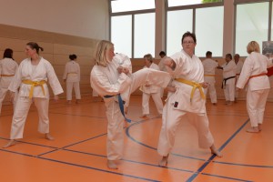 2015_06 Karatelehrgang Dörfles-Esbach 092