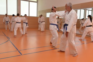 2015_06 Karatelehrgang Dörfles-Esbach 094