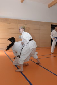 2015_06 Karatelehrgang Dörfles-Esbach 100