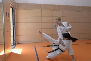 2015_06 Karatelehrgang Dörfles-Esbach 102