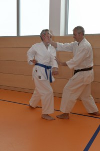 2015_06 Karatelehrgang Dörfles-Esbach 103