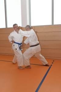2015_06 Karatelehrgang Dörfles-Esbach 105