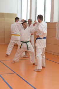 2015_06 Karatelehrgang Dörfles-Esbach 106