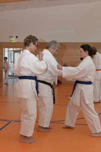 2015_06 Karatelehrgang Dörfles-Esbach 107