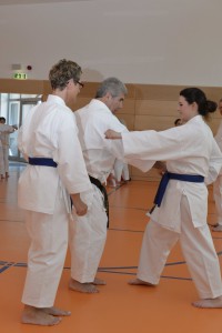 2015_06 Karatelehrgang Dörfles-Esbach 108