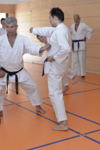 2015_06 Karatelehrgang Dörfles-Esbach 111
