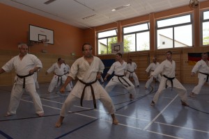 2015_06 Karatelehrgang Dörfles-Esbach 114 