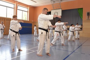 2015_06 Karatelehrgang Dörfles-Esbach 115 