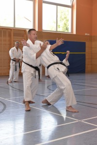 2015_06 Karatelehrgang Dörfles-Esbach 118 