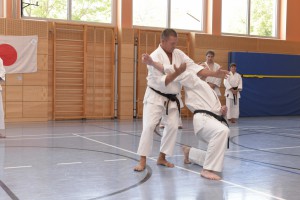 2015_06 Karatelehrgang Dörfles-Esbach 119 