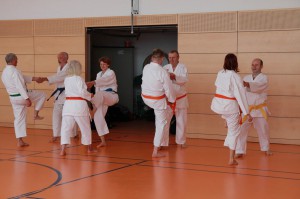 2016 04 Karatelehrgang 110