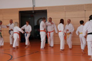 2016 04 Karatelehrgang 122