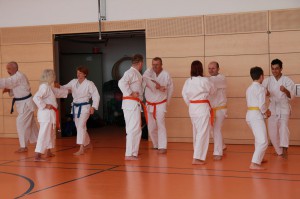 2016 04 Karatelehrgang 125