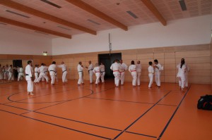 2016 04 Karatelehrgang 139