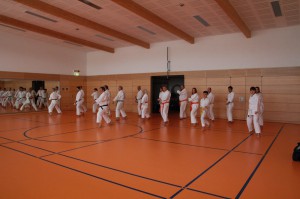 2016 04 Karatelehrgang 147