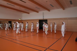 2016 04 Karatelehrgang 150