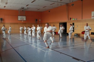 2016 04 Karatelehrgang 253