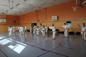 2016 04 Karatelehrgang 33