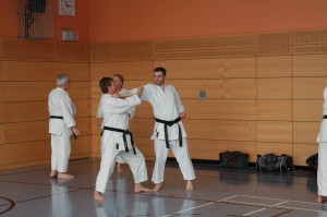 2016 04 Karatelehrgang 57