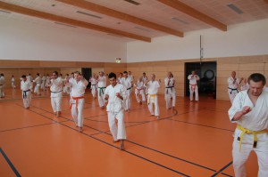 2016 04 Karatelehrgang 62