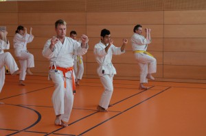 2016 04 Karatelehrgang 69