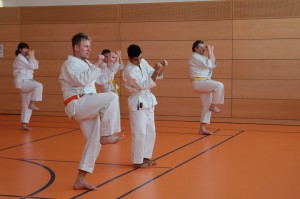 2016 04 Karatelehrgang 70