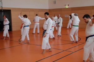2016 04 Karatelehrgang 71