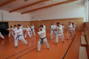 2016 04 Karatelehrgang 73