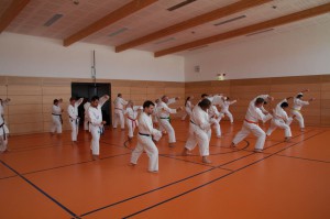 2016 04 Karatelehrgang 74