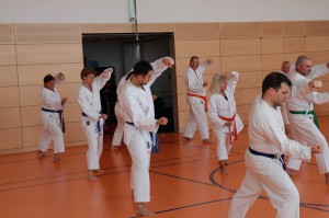 2016 04 Karatelehrgang 75