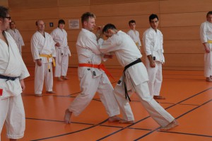 2016 04 Karatelehrgang 76