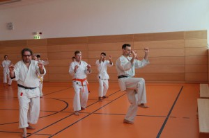 2016 04 Karatelehrgang 78