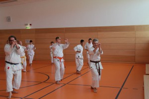 2016 04 Karatelehrgang 80