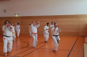 2016 04 Karatelehrgang 81