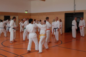 2016 04 Karatelehrgang 83
