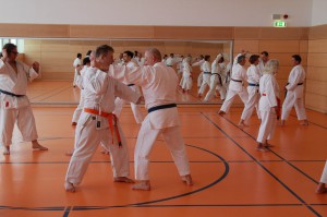 2016 04 Karatelehrgang 84