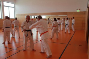 2016 04 Karatelehrgang 89