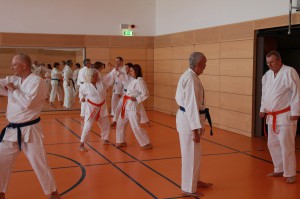 2016 04 Karatelehrgang 90