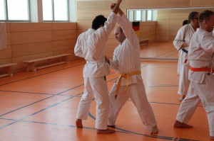 2016 04 Karatelehrgang 92