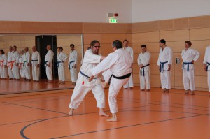 2016 04 Karatelehrgang 96