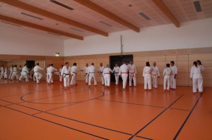 2016 04 Karatelehrgang 98