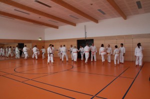 2016 04 Karatelehrgang 99